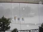 Sotto la nevicata (13kb)